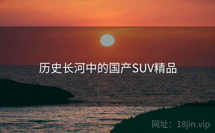 历史长河中的国产SUV精品  第2张